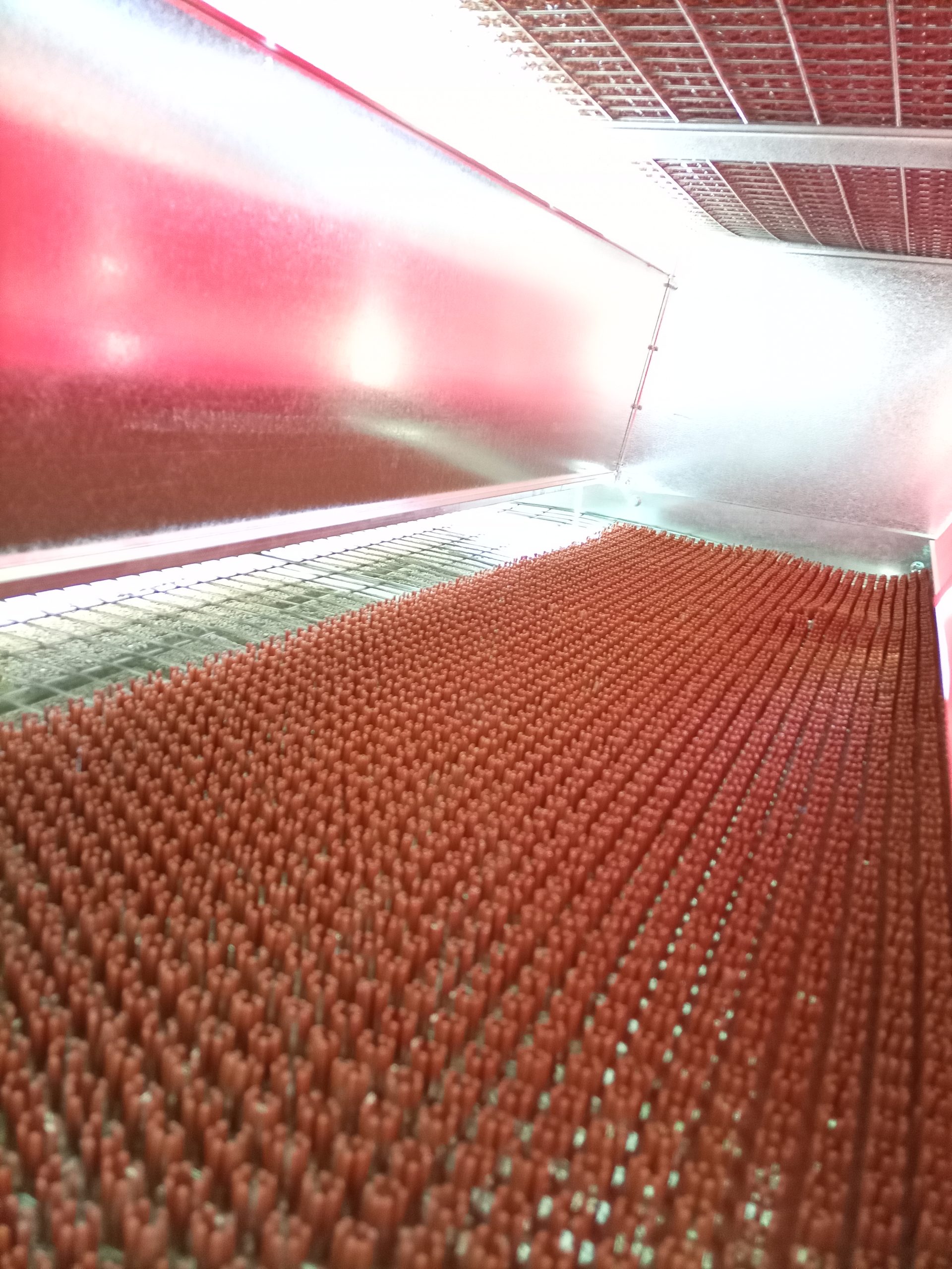 Nestbox Nesting pad - Image 3